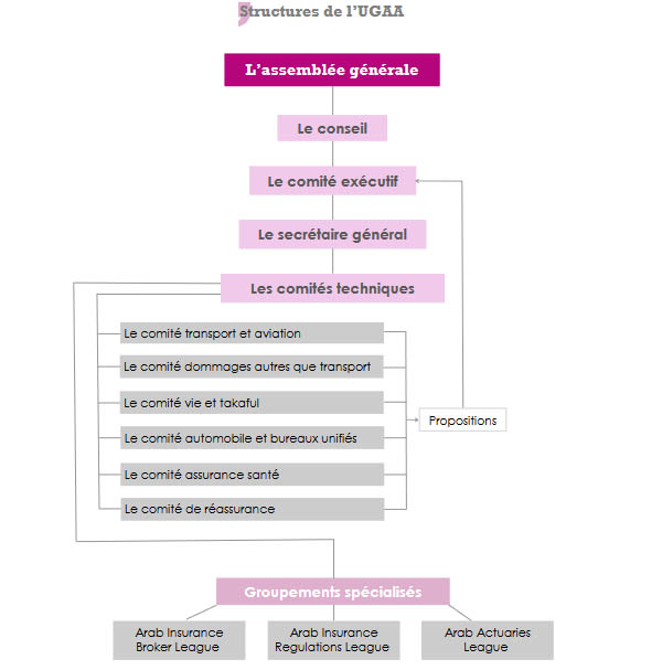 Crédit photo: Atlas Magazine structure UGAA