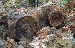 Moteur navette Columbia