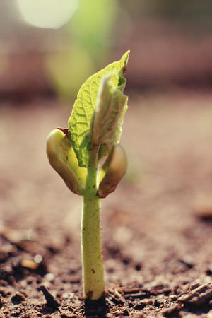 Used with permission from Microsoft