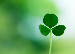 Image provided to Microsoft by iStockphoto. Used with permission from Microsoft