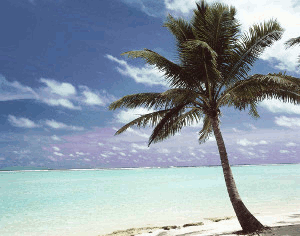 Used with permission from Microsoft (image modifiée)