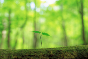 Used with permission from Microsoft Office (image modifiée)