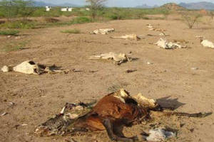 Crédit photo: Oxfam (image modifiée)