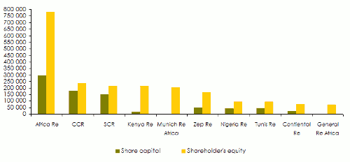 reinsurance africa capital equity company