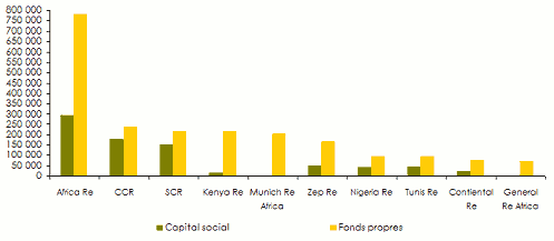 réassurance afrique capital fonds propres compagnie