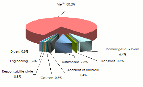 afrique du sud chiffre affaires branche vie non vie