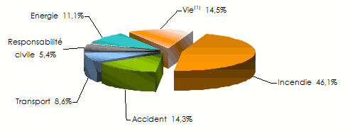 continental re assurance-chiffre-affaires branche