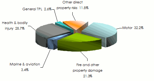 Assinco-Gabon insurance-turnover class of business