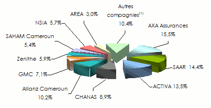 marché cameroun assurance non vie