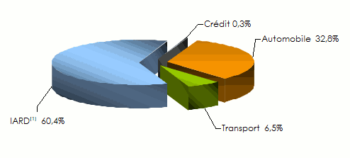 CAAT-Algérie chiffre d'affaires branche