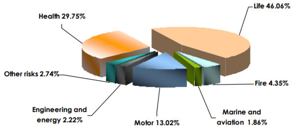 foreign insurance companie UAE
