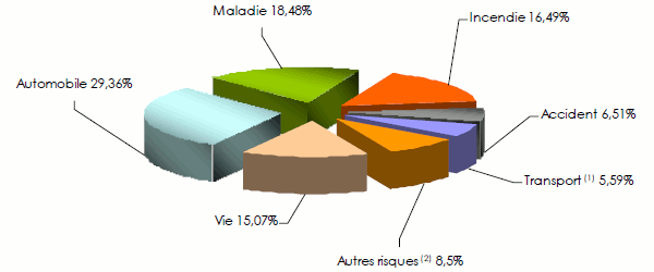 Marché tanzanien assurance