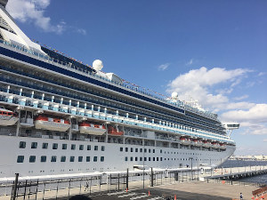 Diamond Princess © Olpa, CC BY-SA 4.0