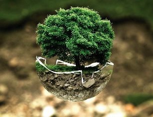 risques écologiques