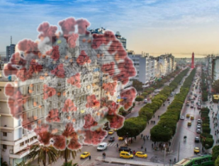 variant britannique détecté en Tunisie