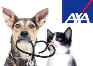 assurance des animaux