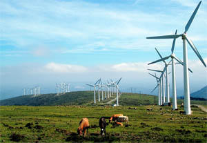 assurance indicielle