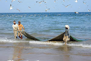 pêcheur oman