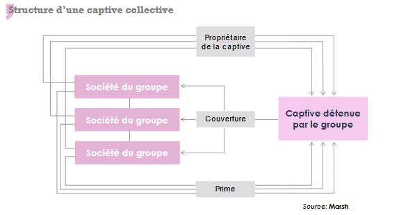 captive assurance collective