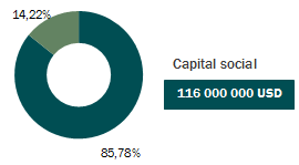 Capital social GIC-Re
