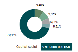 Capital social GIC-Re