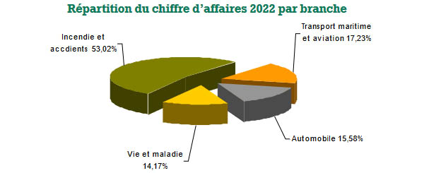 Doha Insurance Group chiffre affaires