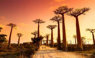 La semaine africaine du climat