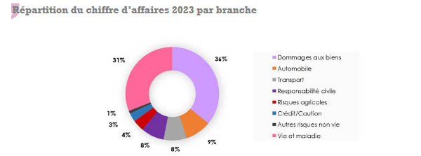 CCR Re chiffre affaires