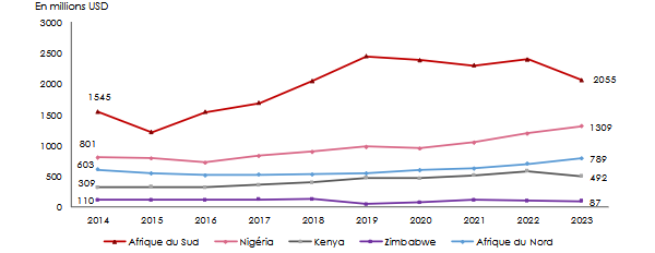 marché réassurance afrique chiffre affaires