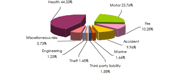 APA Insurance Company revenue