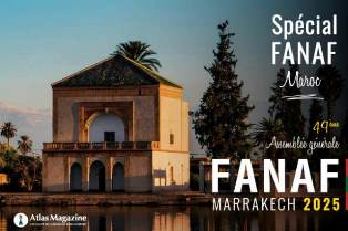 FANAF 2025 ranking of CIMA insurers