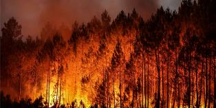 Incendies dans le sud de l’Europe