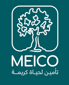 Middle East Insurance Company