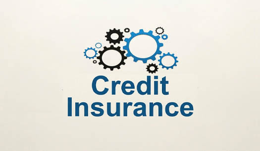 Credit insurance