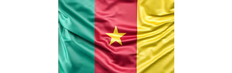 Cameroun drapeau