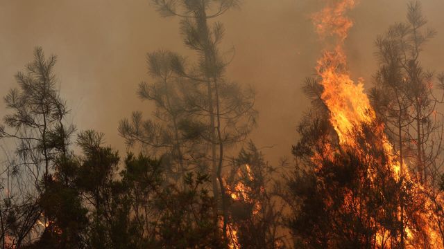 wildfires in France