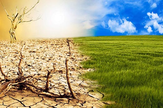 Climat